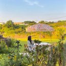 포레스트 13월 이미지