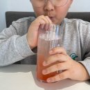 일하기 좋은 서울 강남 카페 소개 [ 역삼동 카페 파라노이드 강남뱅뱅 카페 ]
