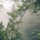 디자인동네 이미지