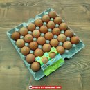 광성펜션 2 이미지