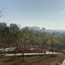 허브숲