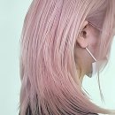 강아지미용실 정독 | 머릿결 비상! 펌과 염색, 이제 동성로에서 제대로 조져본 후기