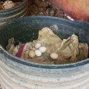 청계축산 이미지