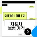 애니카자동차 | 원데이 애니카 자동차보험 가격, 1만원대로 수입차 접촉 사고 리스크 방어한 후기