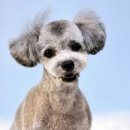 깎을건댕? 이미지