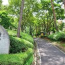 봉화산로45길 이미지