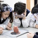 한국반려동물통합의학연구소 스타트업앤