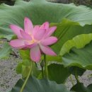 공동정호 이미지