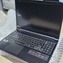 레몬PC방 | '레몬 노트북' 게이밍 노트북 30일 대여 후기