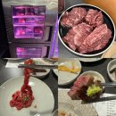 보성냉장 | 남양주 보성녹돈 1++한우사용 소고기 정육식당오는길에 다녀온 내돈내산후기 /반려동물 동반가능