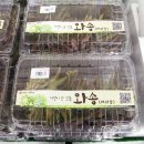 사랑해요영덕와송 이미지