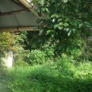 적량면사무소 이미지