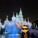 9일 여행코스 2일차 일정🇺🇸-디즈니 데이🏰디즈니 캘리포니아 어드벤쳐 파크, 디즈니랜드 파크 2곳 파크...
