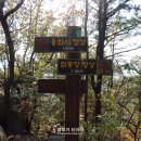 레드페이스수원