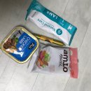 도그버디군자