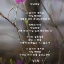 김소월 詩 best 40 / 진달래꽃/ 못잊어/ 산유화/ 시낭송-봉은미﻿ 이미지