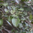 언덕위에오리집 이미지