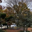 리버트리 이미지