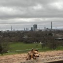 런던(세탁소) 이미지