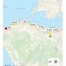 신흥슈퍼 | 홍콩여행 둘째날✨신흥식가(전현무계획 딤섬), 초이홍...가든(북경오리), 야시장쇼핑, 호주우유공사 후기 🌈