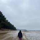 장항오토캠핑장 이미지