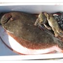 신현대(아) 이미지