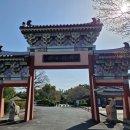제주 천지연 담팔수 자생지 | 큰엉해안, 정방 폭포와 천지연 폭포