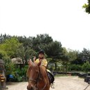 채움목장 이미지