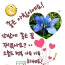 오늘은월급날 이미지