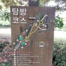 [제주살이 D+33] 비자림, 김녕 킹마트 흑돼지 족발