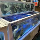 하대동347 이미지