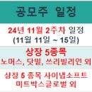 씨케이미트
