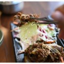 제주순수 이미지
