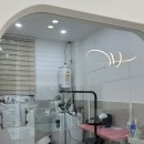 강아지미용실 이미지