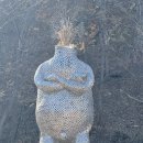 포항시립미술관 | 포항 가볼만한곳, 환호공원 스페이스워크 &amp; 포항시립미술관 &amp; 환호공원 식물원 후기