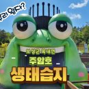 주암호 생태습지 이미지