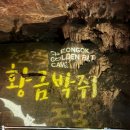 천곡황금박쥐동굴 | 삼척 1박2일 여행 중 동해 동굴명소ㅣ환선굴 대신 천곡황금박쥐동굴 방문 후기