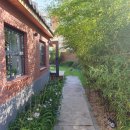 옹심이네 이미지