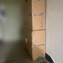 데오덴탈 | 사계절로 즐기는 아르르 꿀잠 해먹 방석/치아건강 구강츄르 캣 덴탈 치카스틱 내돈내산 후기