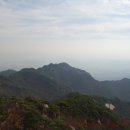 느티나무사거리 이미지