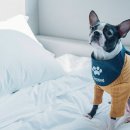 호텔카푸치노(Hotel Cappuccino) 이미지