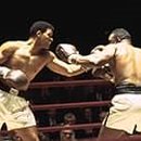 T.F BOXING GYM 이미지