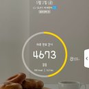 무등농원 | 부엉일상 / 250501 ~ 250510