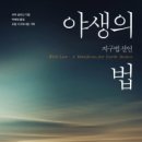 자연 + 인간 + 이미지