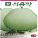박 - 종로구 | 박