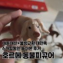 불량토끼 | 내돈내산 돌아기 몬테소리 동물피규어 호르메+불량교환후기
