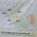 손목닥터9988 남산 걷기 행사 참여 후기 │ 난생처음 서울 남산을 한바퀴 걸었다
