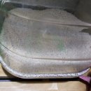 함평군농협쌀조합공동사업법인 | [찐후기] 함평 나비쌀 신동진쌀 지마켓