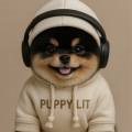 퍼피리트(PUPPY LIT) 이미지