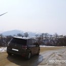 피카소 목장 티스토리